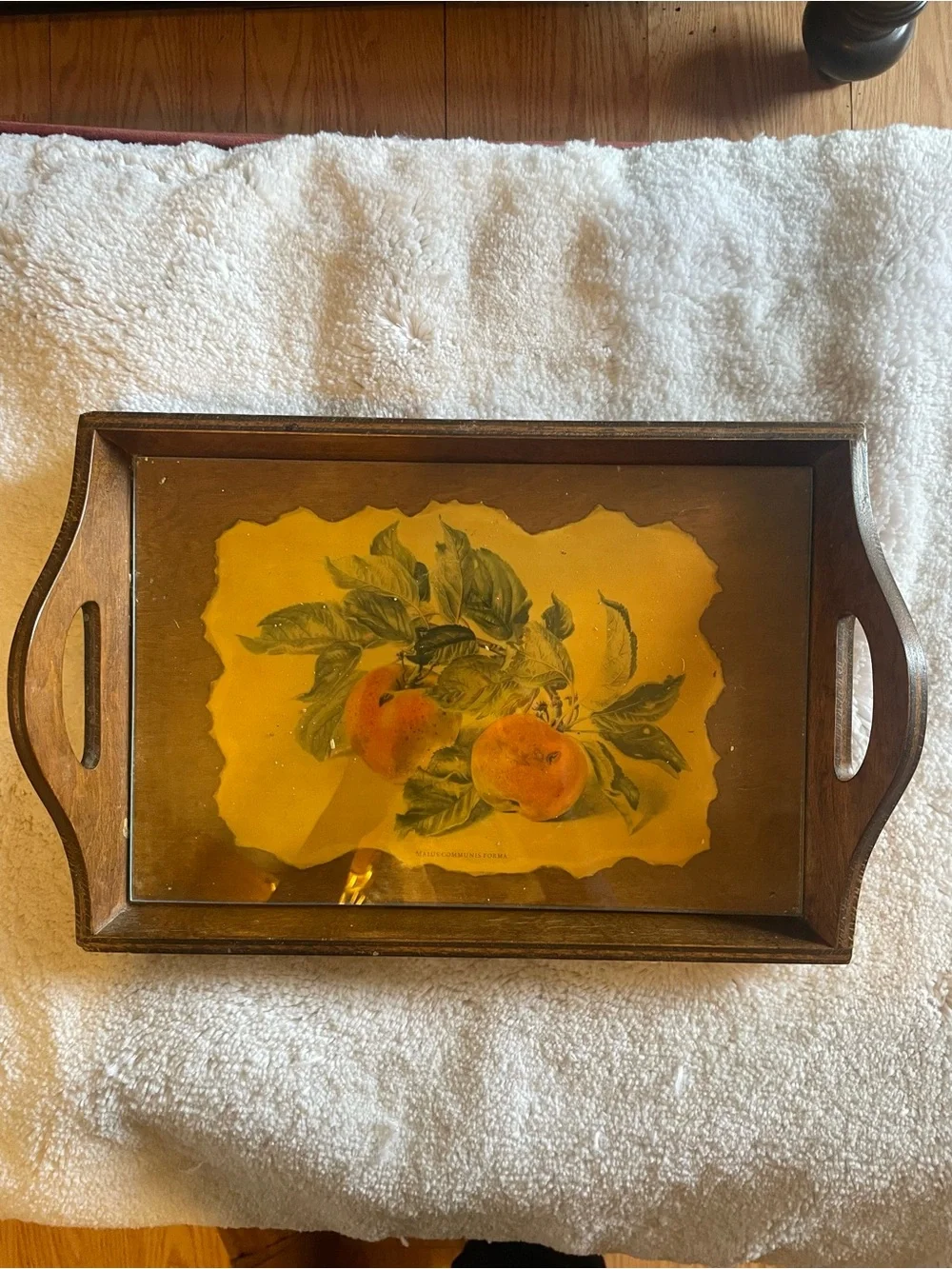 Wooden Serving Tray with Peach Artwork - Brown handcrafted